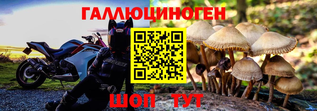 сколько стоит  Вход с VPN  Гусиноозёрск  Галлюциногенные грибы Psilocybe 