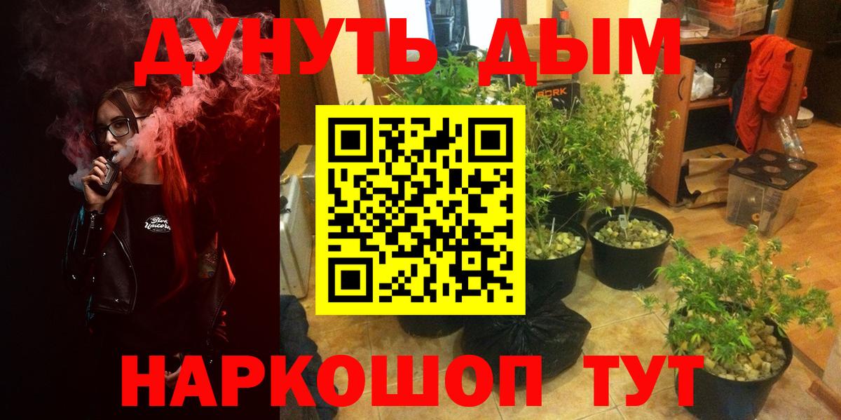 Шишки марихуана план Гусиноозёрск